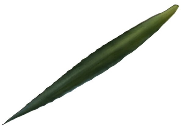Umělý list kaktus Aloe obří, 82cm, 12ks
