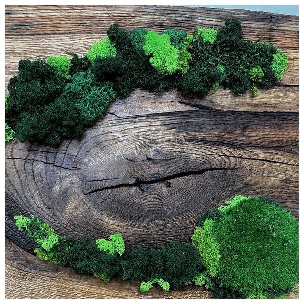 Wooden Mooden Stylové dřevěné mechové hodiny na zeď