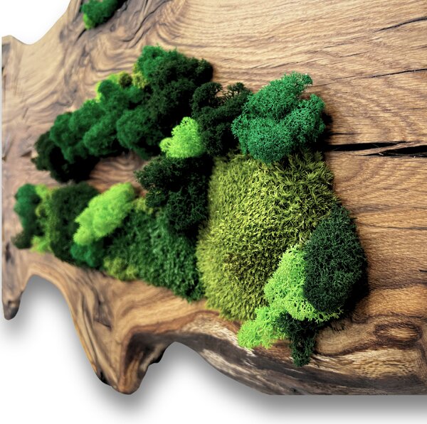 Wooden Mooden Designové dřevěné hodiny s mechem - luxusní dekor na zeď