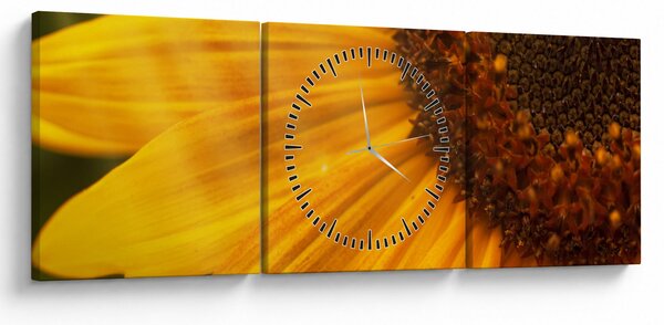 Obraz - Slunečnice (s hodinami) (90x30 cm)