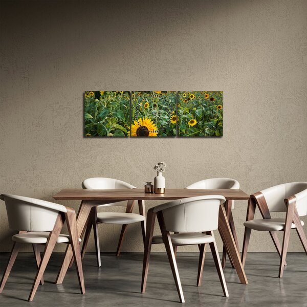 Obraz - Slunečnicové pole II. (s hodinami) (90x30 cm)