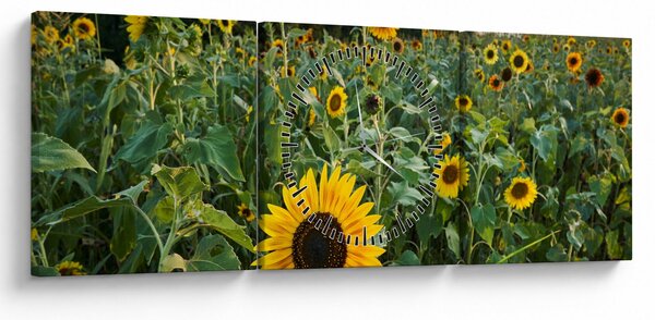 Obraz - Slunečnicové pole II. (s hodinami) (90x30 cm)