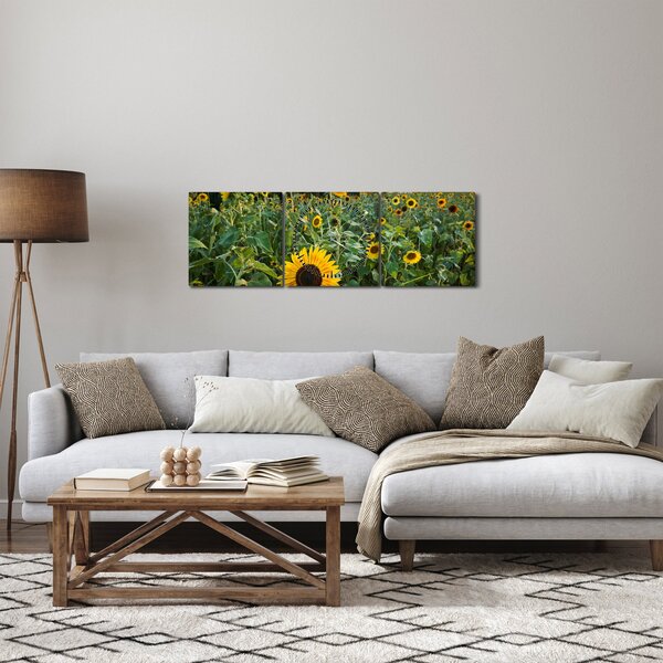 Obraz - Slunečnicové pole II. (s hodinami) (90x30 cm)