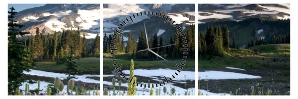 Obraz - Mount Rainier (s hodinami) (90x30 cm)