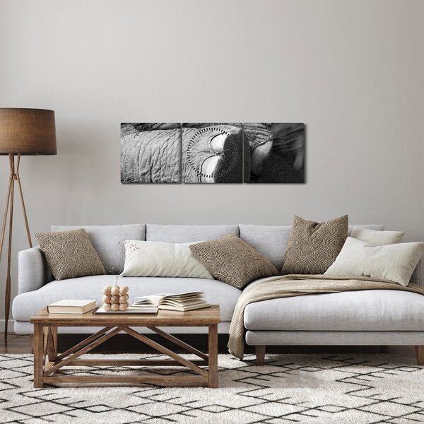 Obraz - Sloní noha (s hodinami) (90x30 cm)