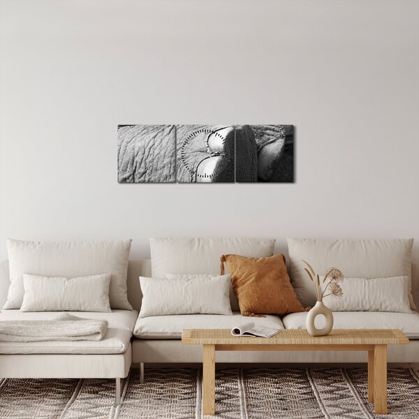 Obraz - Sloní noha (s hodinami) (90x30 cm)