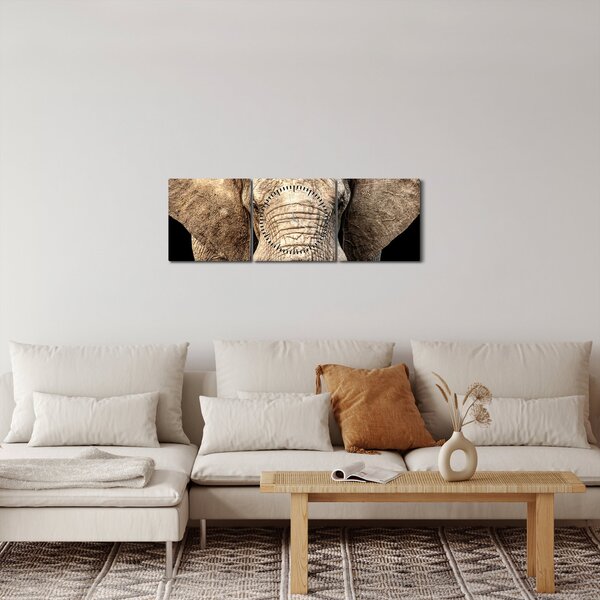 Obraz - Slon africký (s hodinami) (90x30 cm)
