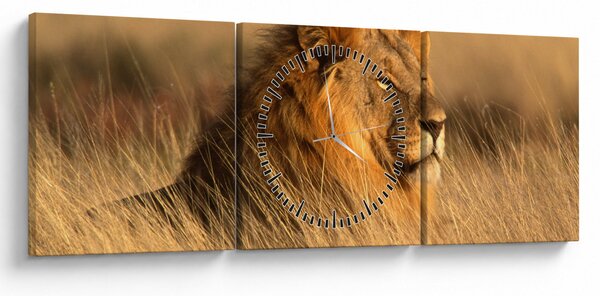 Obraz - Národní park Etosha (s hodinami) (90x30 cm)