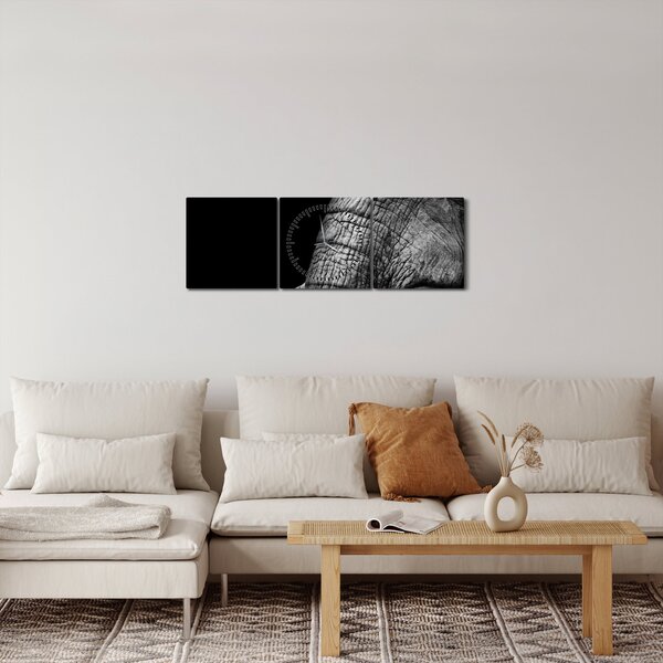 Obraz - Sloní kly (s hodinami) (90x30 cm)