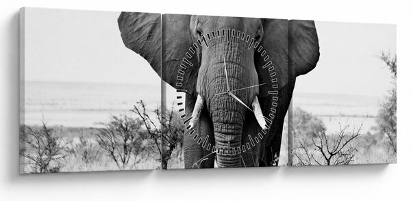 Obraz - Slon africký II. (s hodinami) (90x30 cm)
