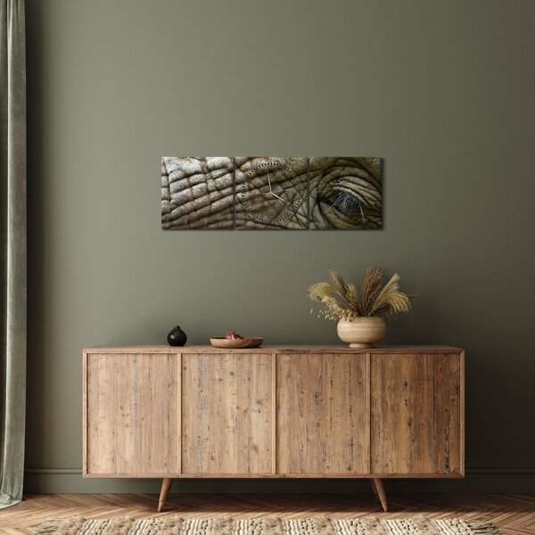 Obraz - Detailní fotografie starého sloního oka (s hodinami) (90x30 cm)