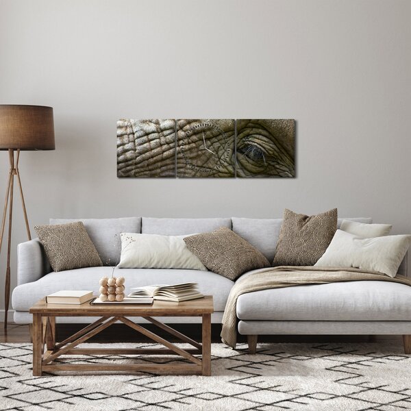 Obraz - Detailní fotografie starého sloního oka (s hodinami) (90x30 cm)