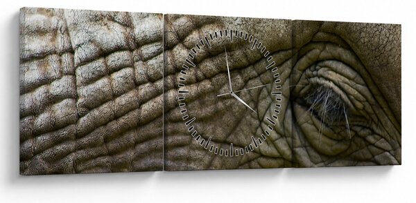 Obraz - Detailní fotografie starého sloního oka (s hodinami) (90x30 cm)