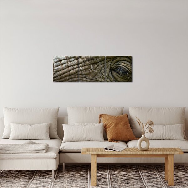 Obraz - Detailní fotografie starého sloního oka (s hodinami) (90x30 cm)