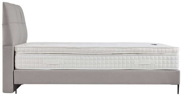 POSTEL BOXSPRING, 140/200 cm, šedá MID.YOU - Online Only postele, Online Only