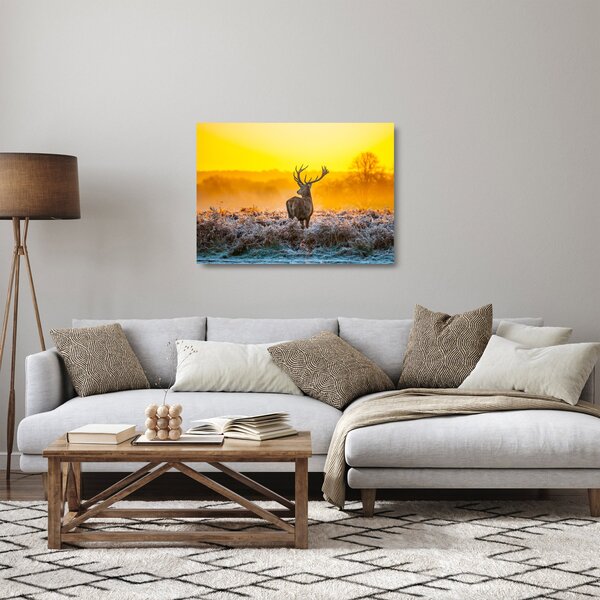 Skleněný obraz - Jelen při východu slunce (70x50 cm)