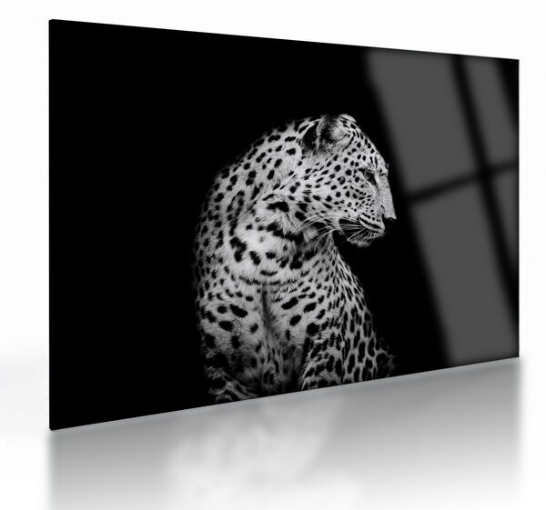 Skleněný obraz - Leopard (70x50 cm)