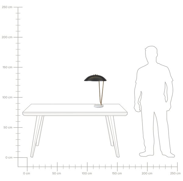 Stolní lampa DANTO Kov Černá