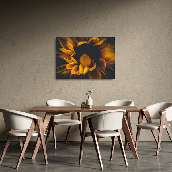 Skleněný obraz - Slunečnice v černém pozadí (70x50 cm)