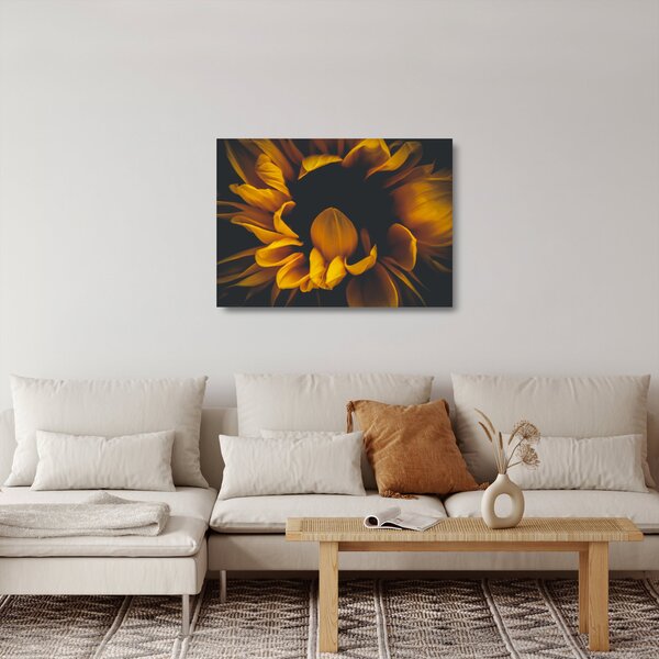 Skleněný obraz - Slunečnice v černém pozadí (70x50 cm)