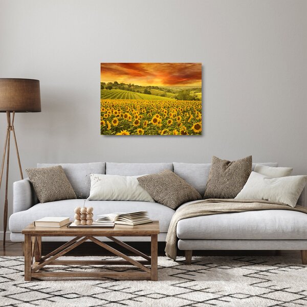 Skleněný obraz - Slunečnicové pole (70x50 cm)