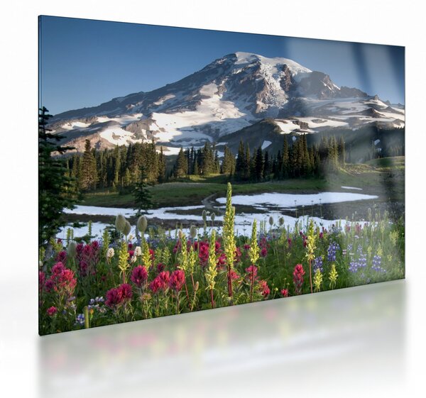 Skleněný obraz - Mount Rainier (70x50 cm)