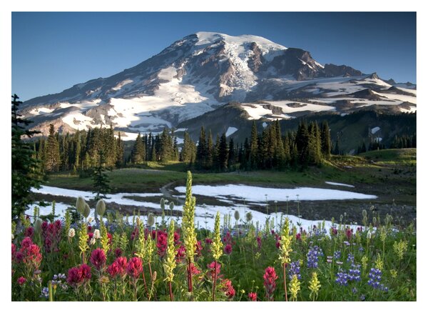 Skleněný obraz - Mount Rainier (70x50 cm)