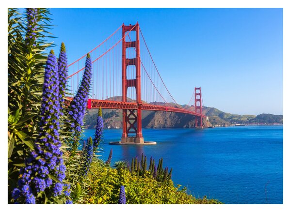 Skleněný obraz - Golden Gate Bridge, San Francisco (70x50 cm)