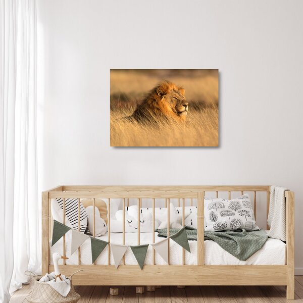 Skleněný obraz - Národní park Etosha (70x50 cm)