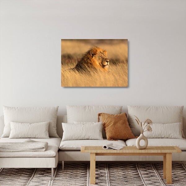 Skleněný obraz - Národní park Etosha (70x50 cm)