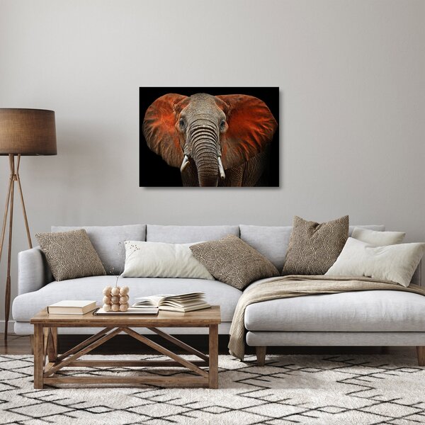 Skleněný obraz - Sloni z Tsavo (70x50 cm)