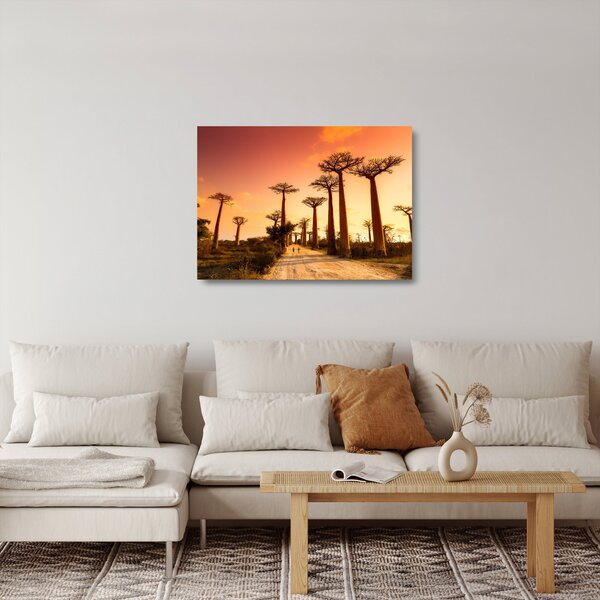 Skleněný obraz - Západ slunce v uličce Baobab (70x50 cm)