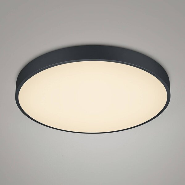 Trio Lighting Stropní svítidlo LED Waco, Ø 49,5 cm, černá matná, stmívatelný, Černá, Obývací pokoj / jídelna, kov
