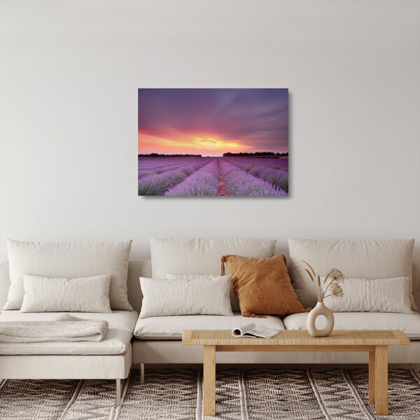 Skleněný obraz - Levandulové pole (70x50 cm)