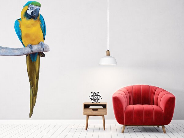 Papoušek 100 x 235 cm