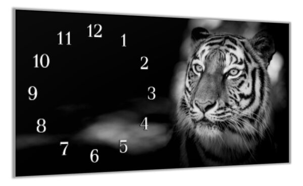 Nástěnné hodiny sklo 30x60cm černobílá hlava tygra - plexi