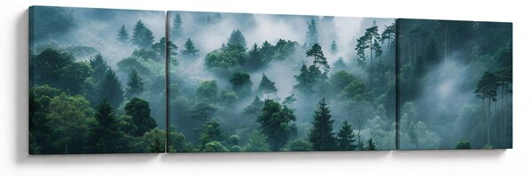 Obraz - Les v mlze (170x50 cm)