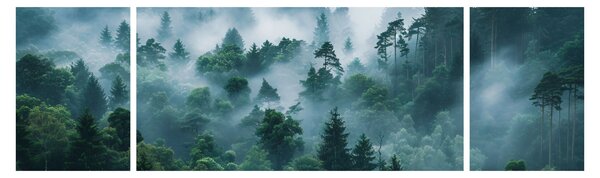 Obraz - Les v mlze (170x50 cm)