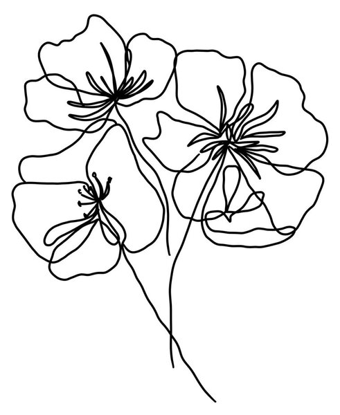 Plakát 29x41 cm Black Poppy – Veronika Boulová