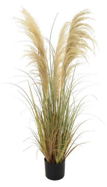 DEKORAČNÍ TRÁVA, 120 cm Ambia Home - Dekorační tráva, Online Only
