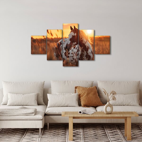 Obraz - Kůň při západu slunce (125x70 cm)