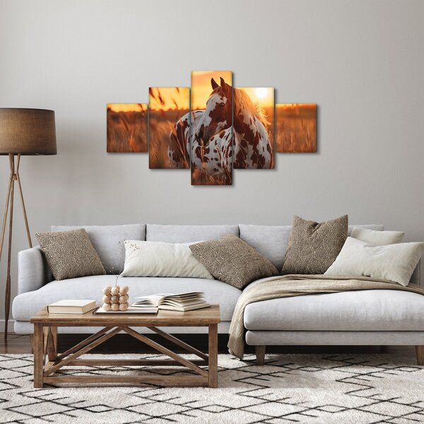 Obraz - Kůň při západu slunce (125x70 cm)