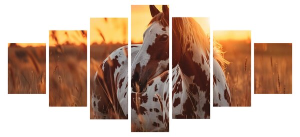 Obraz - Kůň při západu slunce (210x100 cm)