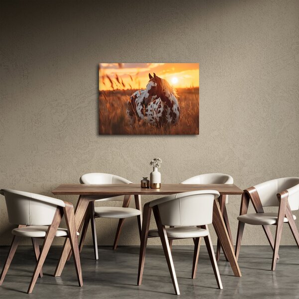 Obraz - Kůň při západu slunce (70x50 cm)