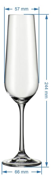 SKLENICE NA SEKT Novel