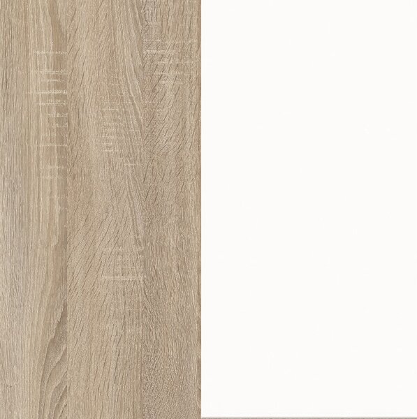 RTV stolek PETRAS 120 dub sonoma/bílá (120 x 36) cm