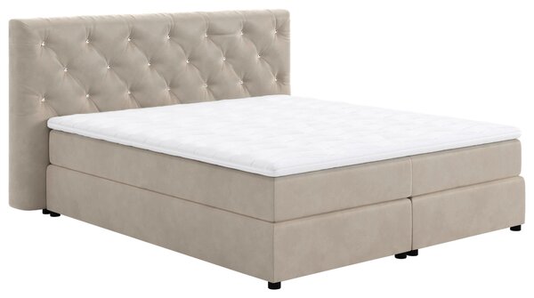 POSTEL BOXSPRING, 140/200 cm, béžová MID.YOU - Jednolůžkové postele, Online Only