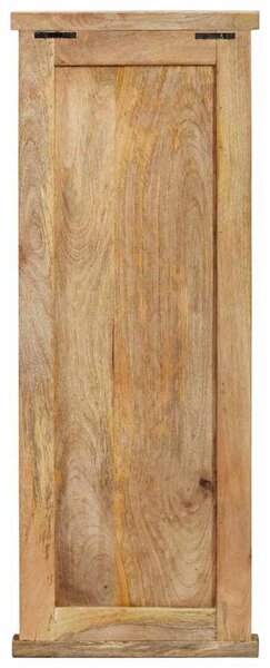 Věšáky na kabáty 2 ks masivní mangovníkové dřevo 38 x 100 cm 337853