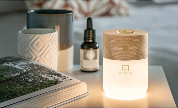 Elektrický difuzér Smart – Gingko