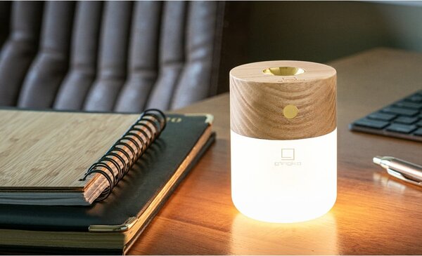Elektrický difuzér Smart – Gingko
